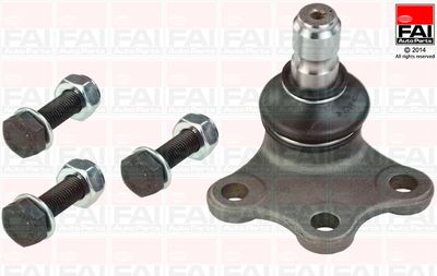 FAI AutoParts SS7063