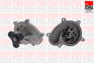 FAI AutoParts WP6667