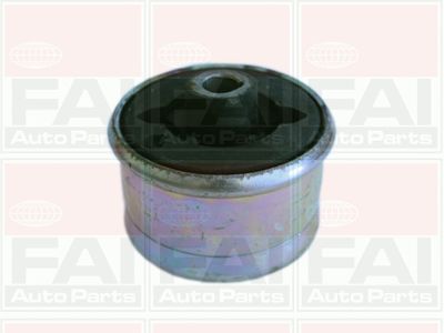 FAI AutoParts SS2223