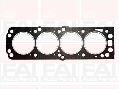 FAI AutoParts HG169