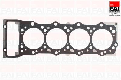 FAI AutoParts HG1539B