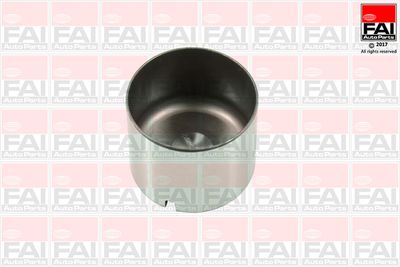 FAI AutoParts BFS100