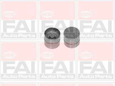 FAI AutoParts BFS293S