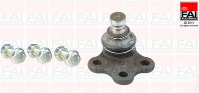 FAI AutoParts SS7048