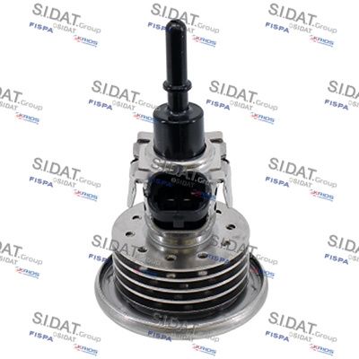 SIDAT 980036