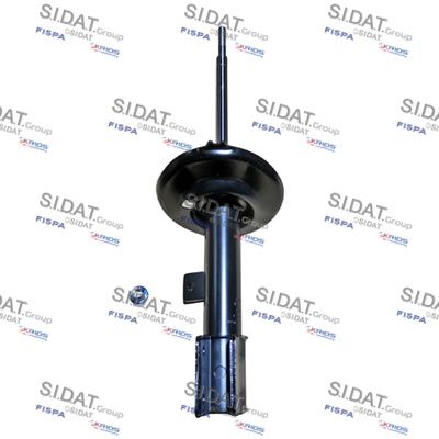 SIDAT F210G0595