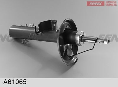 FENOX A61065