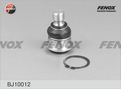 FENOX BJ10012