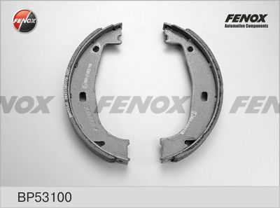 FENOX BP53100
