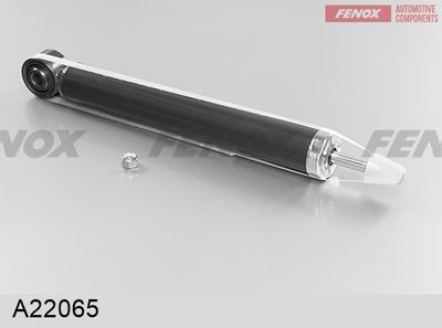 FENOX A22065