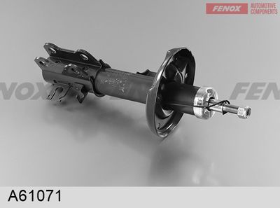 FENOX A61071