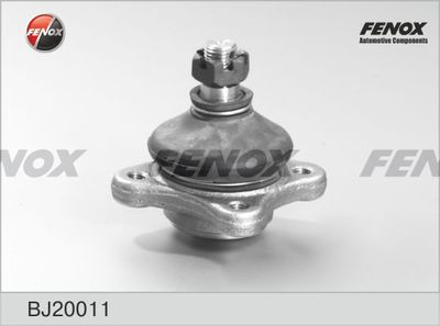 FENOX BJ20011