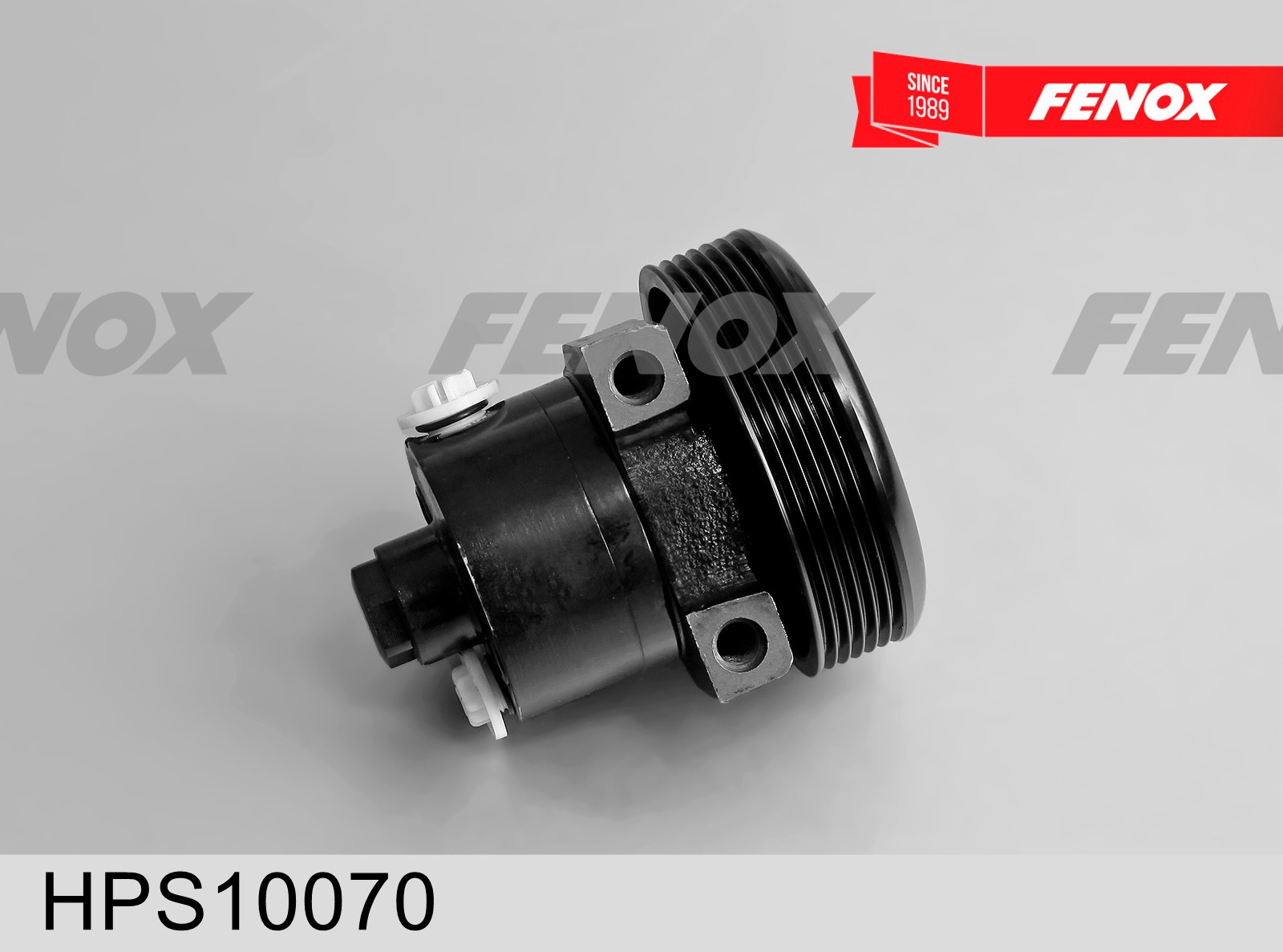 FENOX HPS10070 FENOX HPS10070