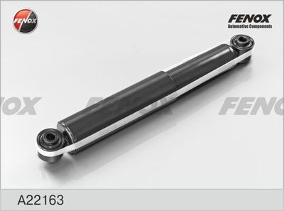 FENOX A22163