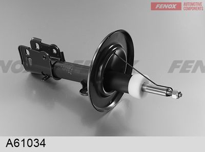 FENOX A61034