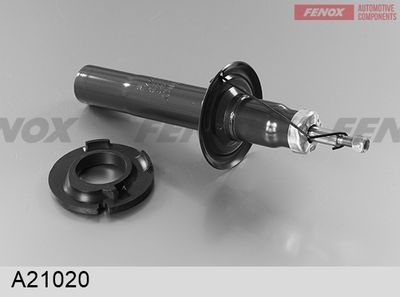 FENOX A21020