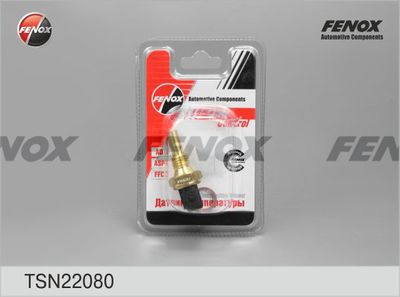 FENOX TSN22080