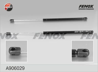 FENOX A906029