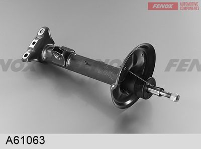 FENOX A61063