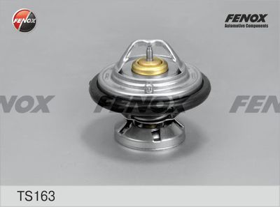 FENOX TS163