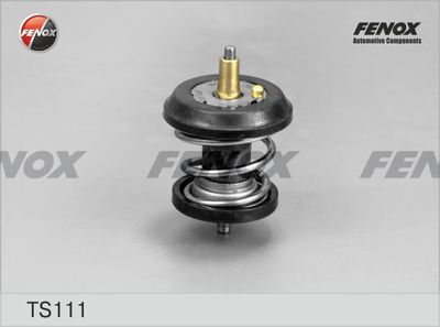 FENOX TS111