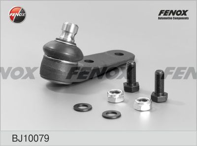 FENOX BJ10079