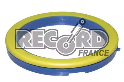 RECORD FRANCE 924964