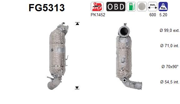 AS FG5313