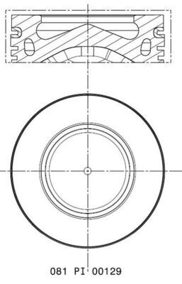 MAHLE 081 PI 00129 000