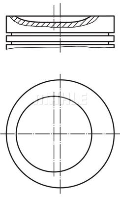 MAHLE 013 19 02