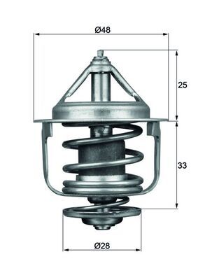 MAHLE TX 87 77D