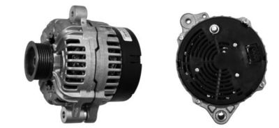 MAHLE MG 733
