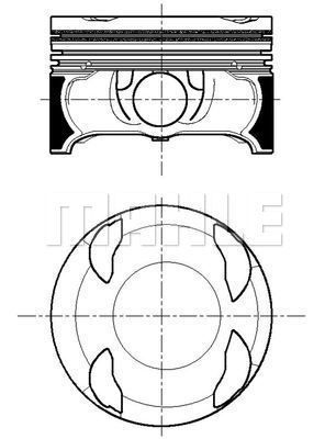 MAHLE 001 PI 00196 001