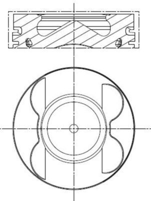 MAHLE 001 PI 00107 001