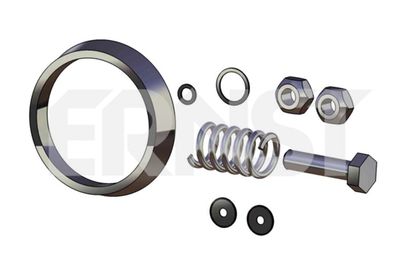 ERNST 493895 ERNST 493895