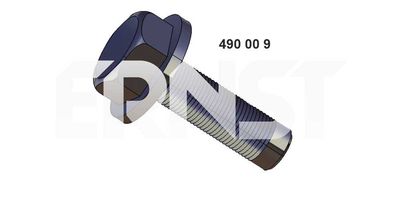 ERNST 490009