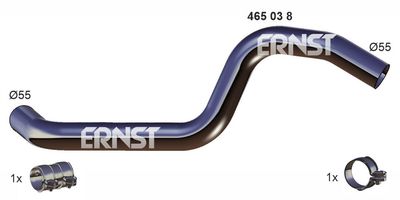 ERNST 465038