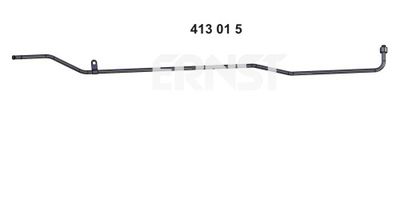 ERNST 413015