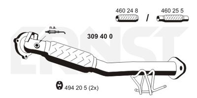 ERNST 309400