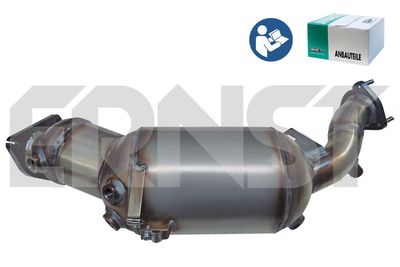 ERNST 910590