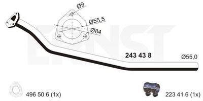 ERNST 243438