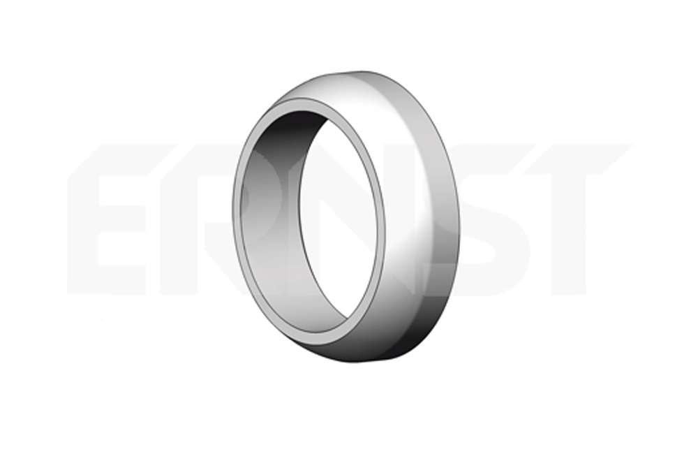 ERNST 489799 ERNST 489799