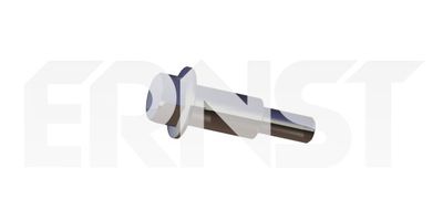 ERNST 490894 ERNST 490894