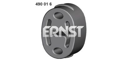 ERNST 490016