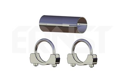 ERNST 011709 ERNST 011709
