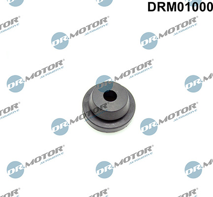 LIZARTE DRM01000 LIZARTE DRM01000