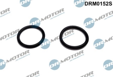 LIZARTE DRM0152S