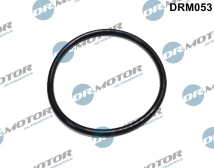 LIZARTE DRM053