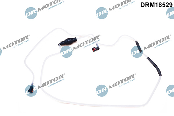 LIZARTE DRM18529