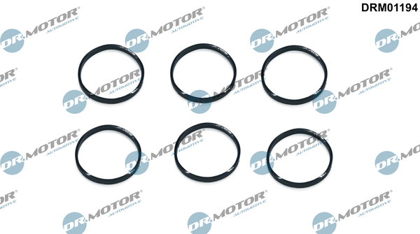 LIZARTE DRM01194